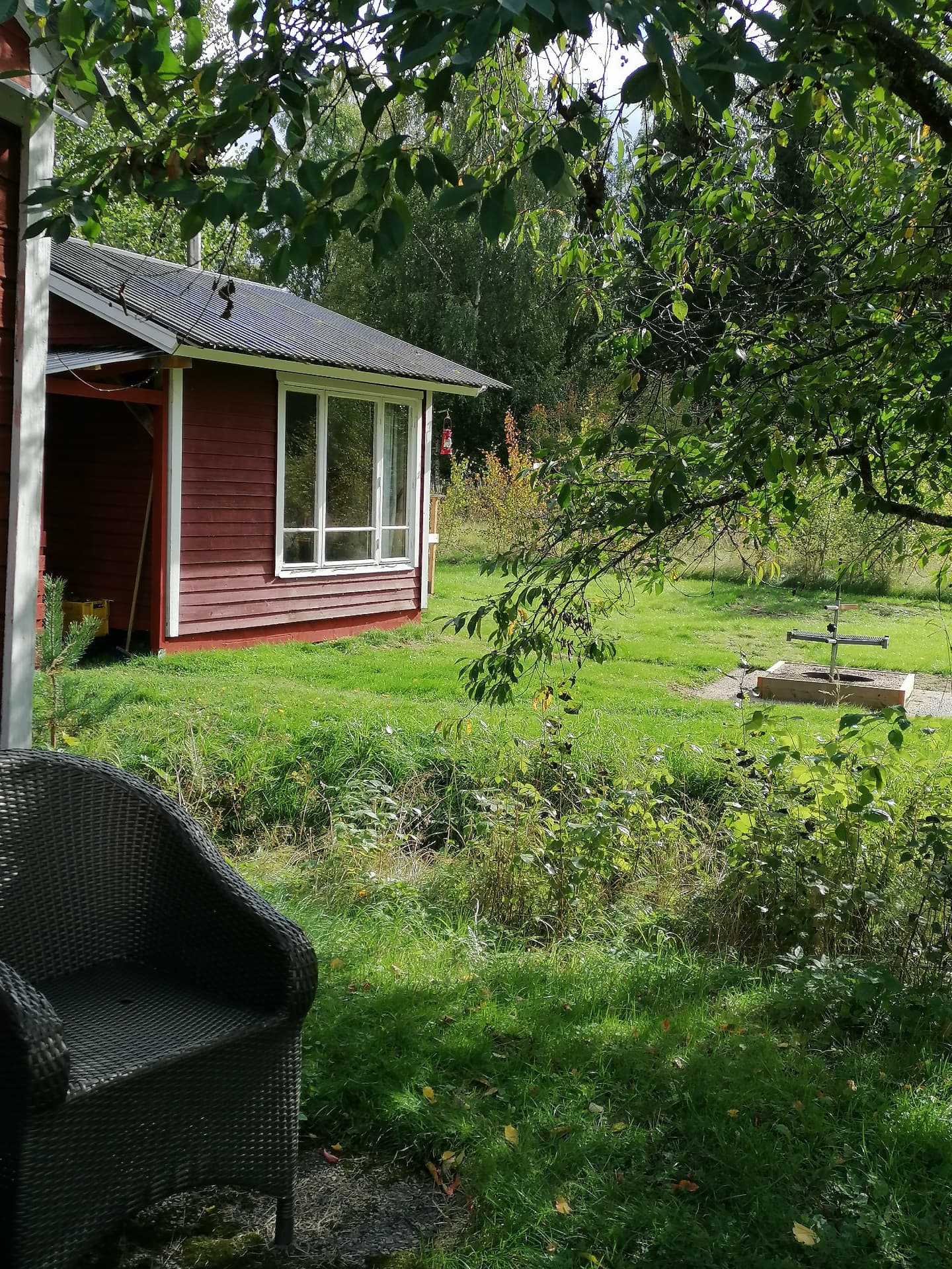 Vy över trädgården från verandan
