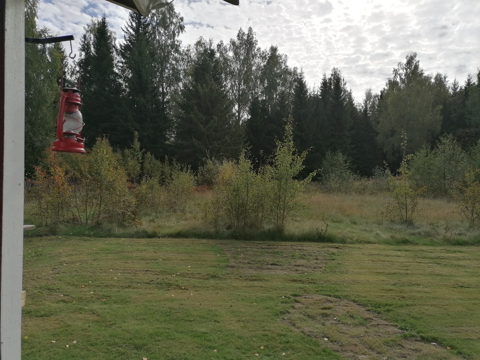 Utsikt från stugan över ängen och skogen